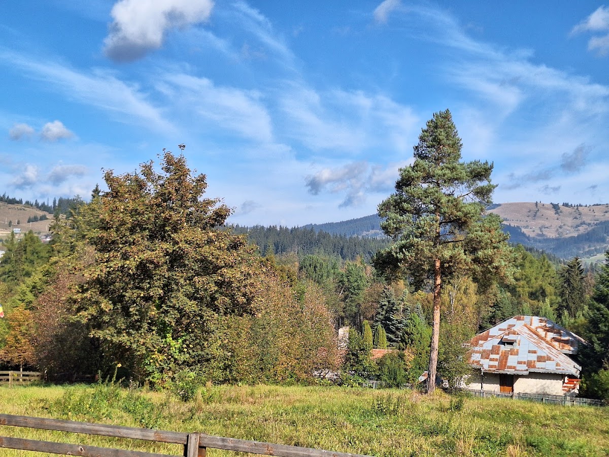 Izvorul Ferdinand - foto 4