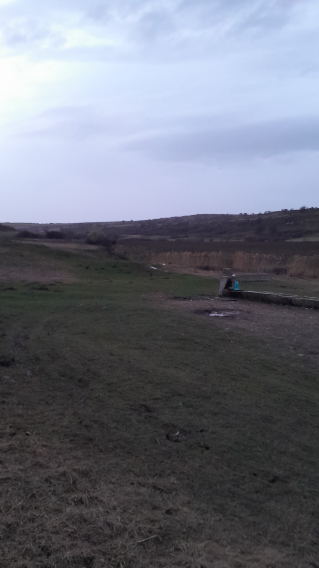 Source Ileana - foto 1