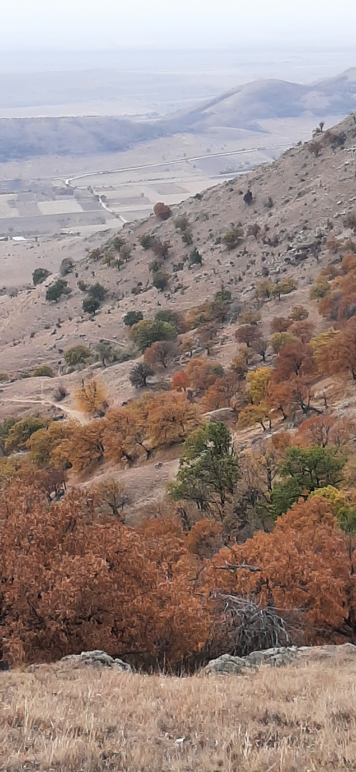 Izvorul Italienilor - foto 3