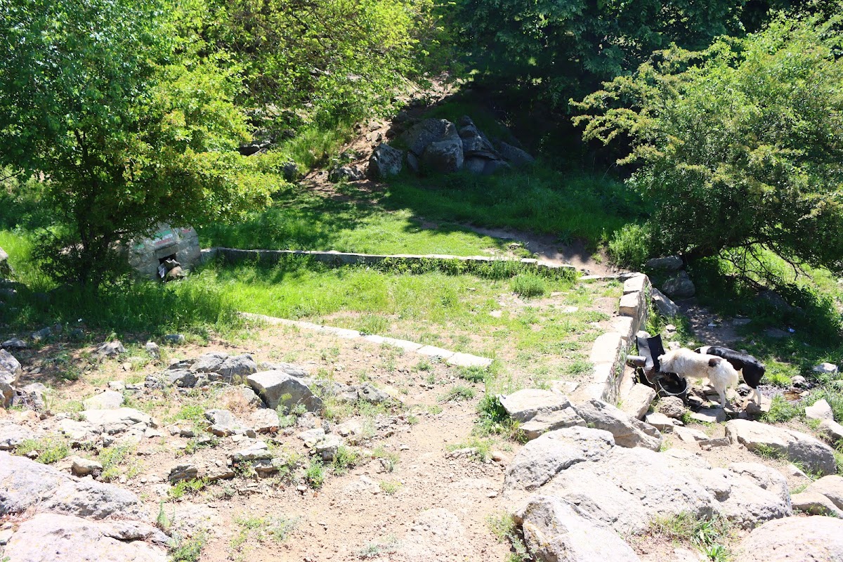 Izvorul Italienilor - foto 5