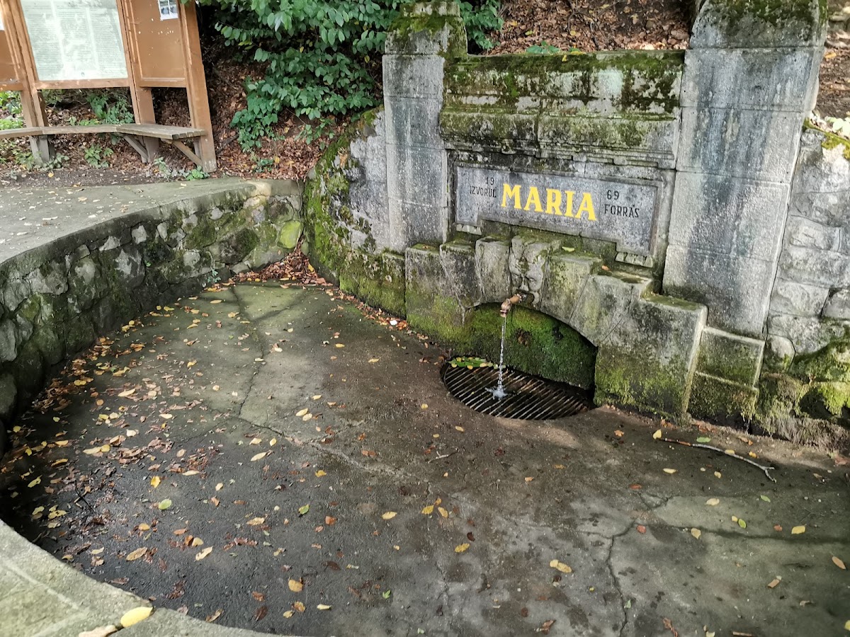 Izvorul Maria - foto 1