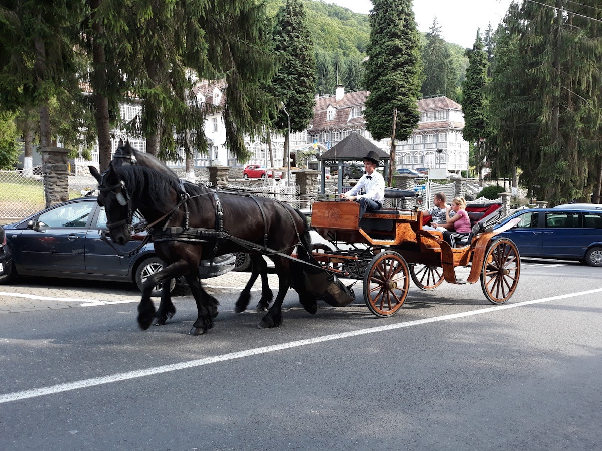 Izvorul Maria - foto 3