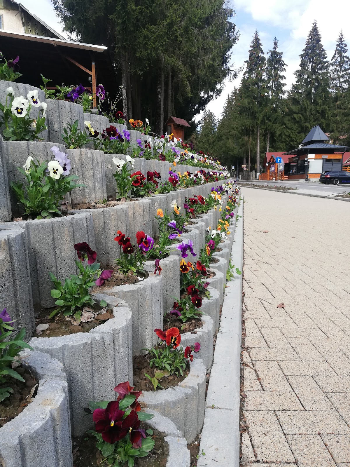 Izvorul Maria - foto 5