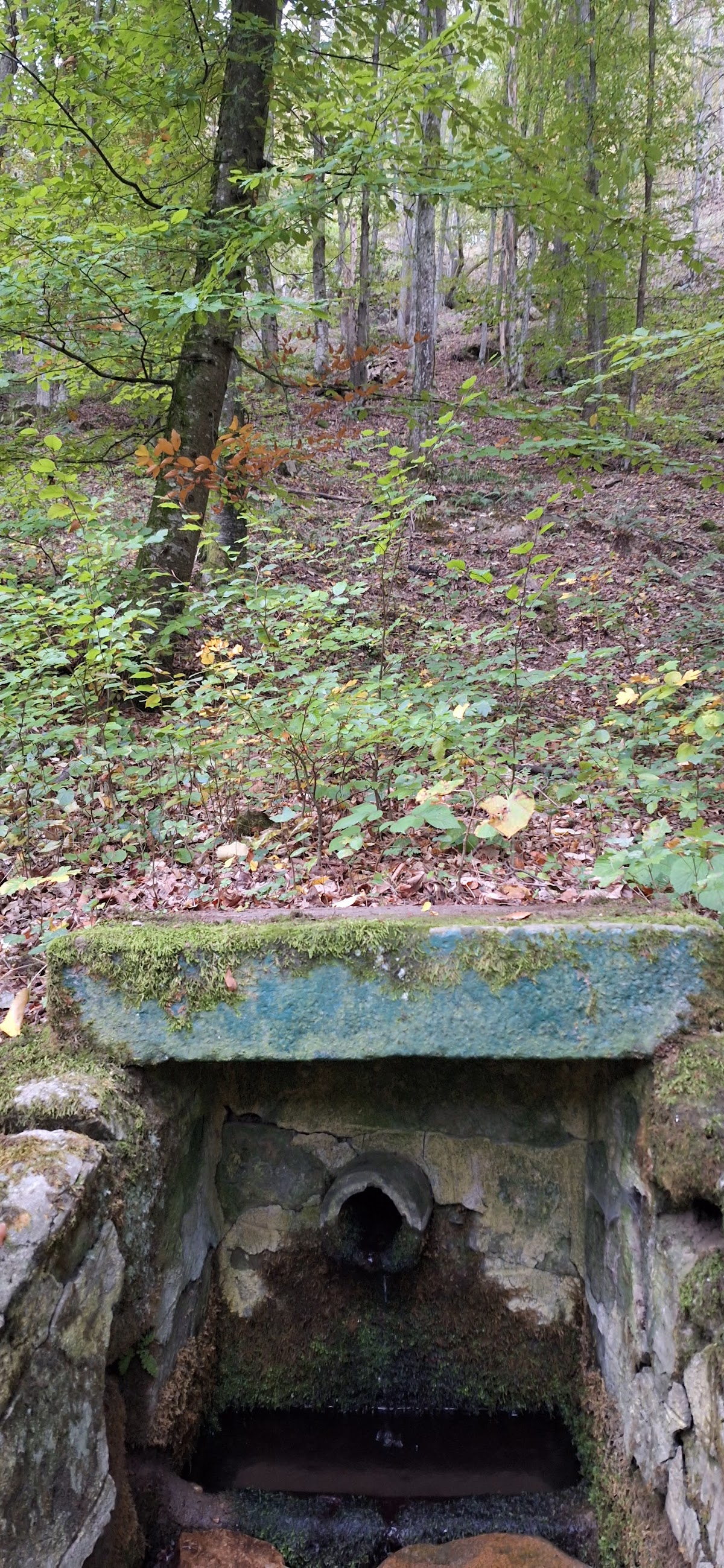 Izvorul Mariana