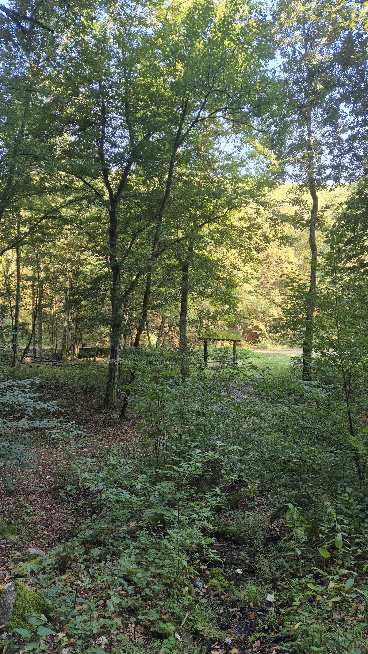 Izvorul Mariana - foto 2