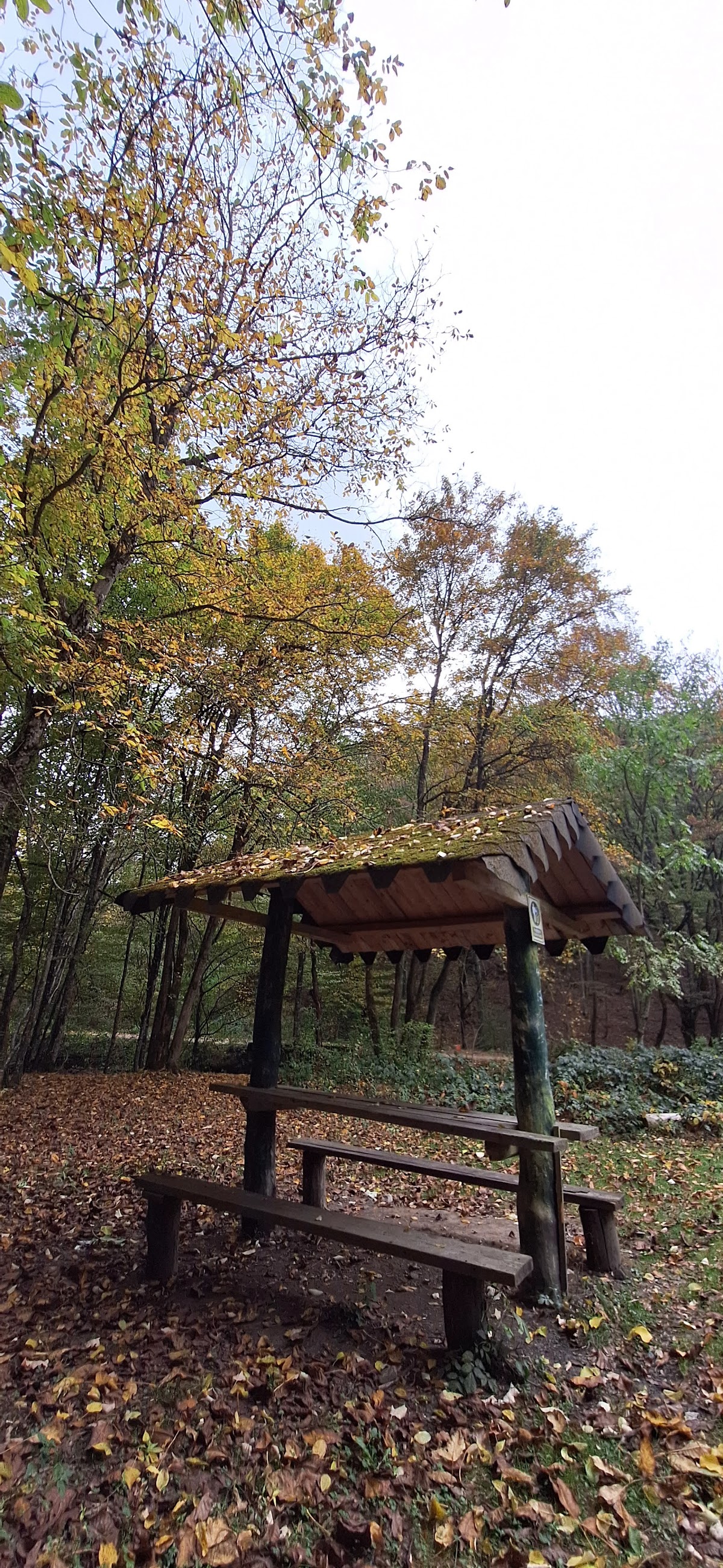 Izvorul Mariana - foto 4