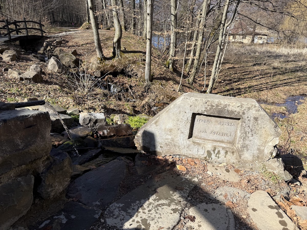 Izvorul Mogoșa