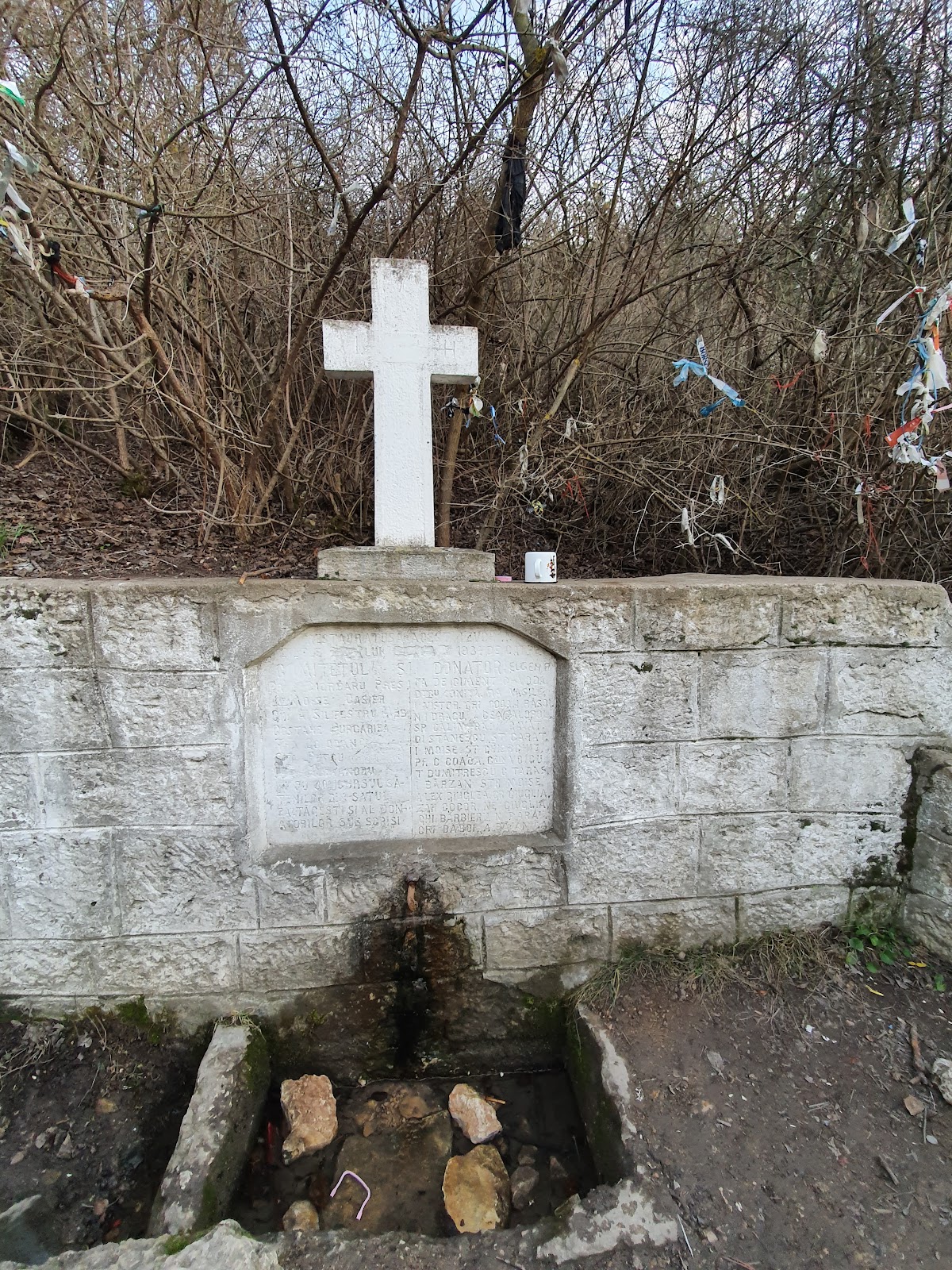 The Healing Spring of Crucea - foto 2