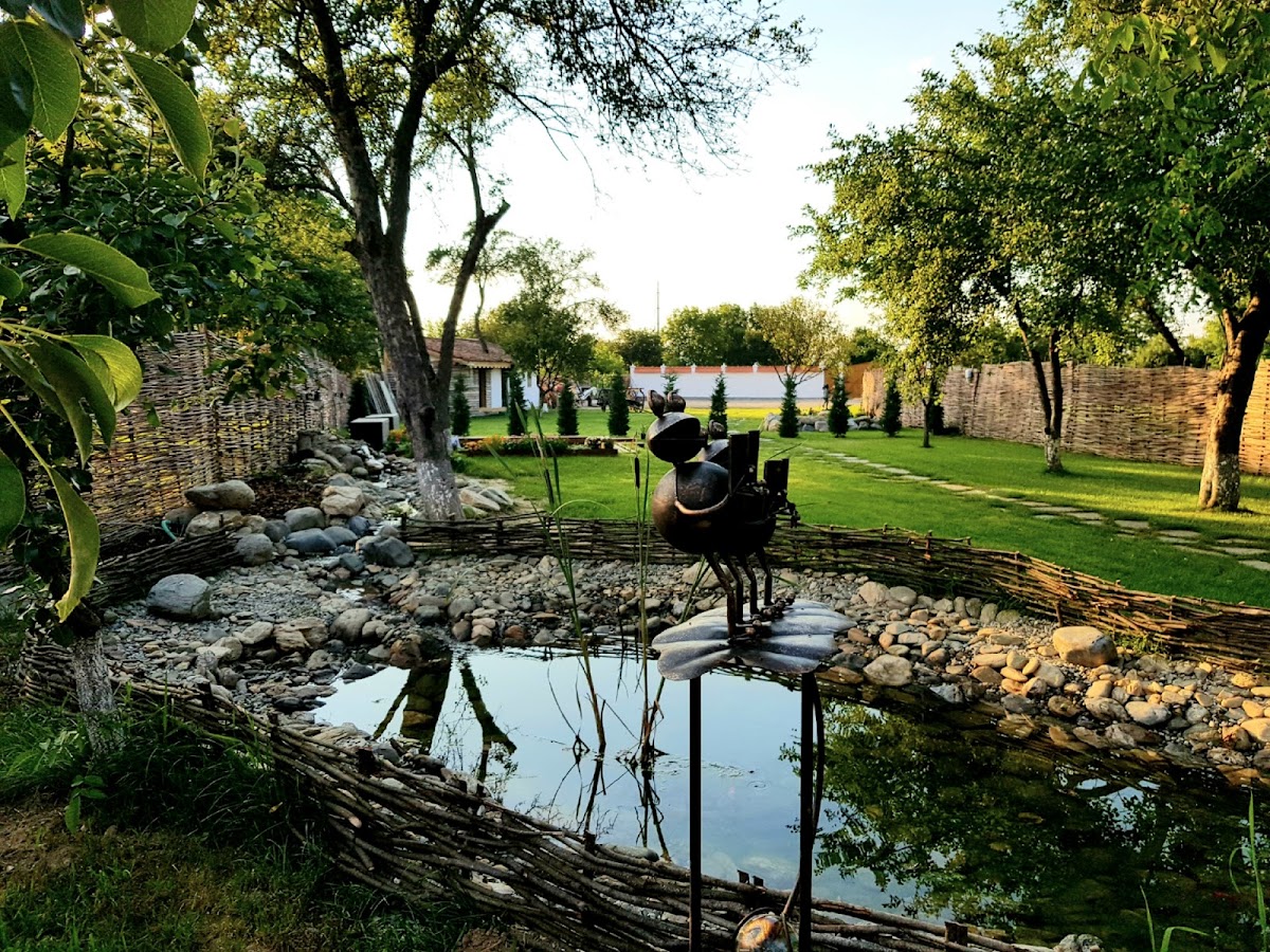 Joyard - Pensiunea - foto 5