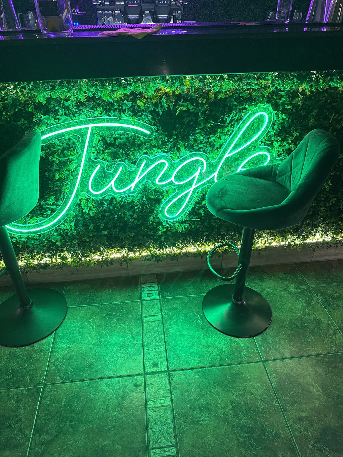 Jungle Pub Caffe - foto 3