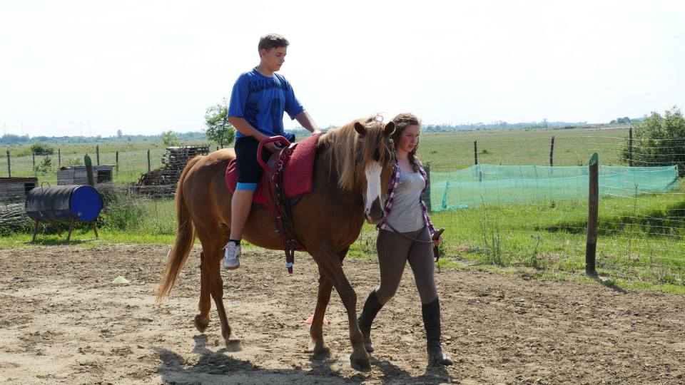Kentaur - foto 5