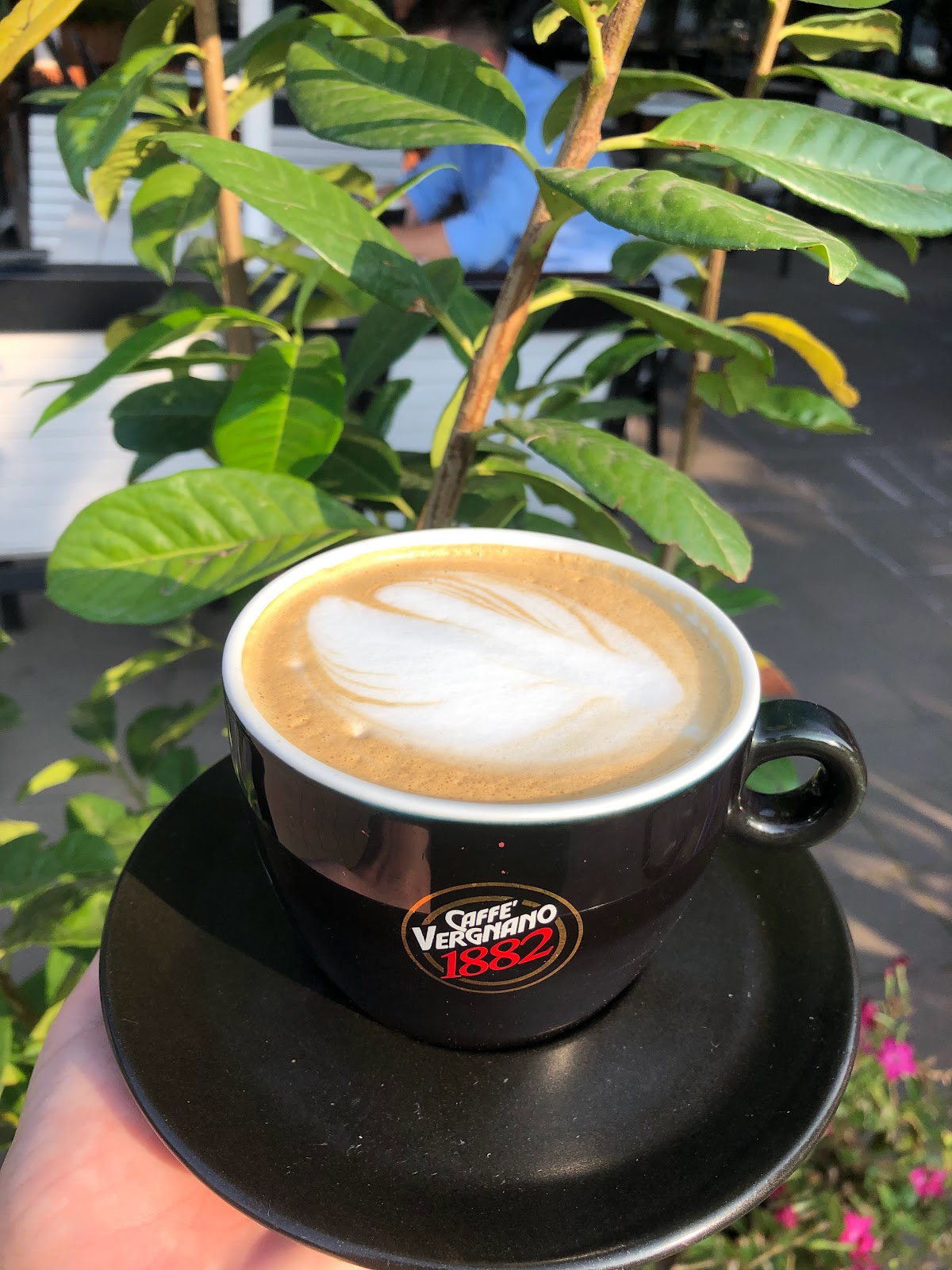 La Academie - foto 5