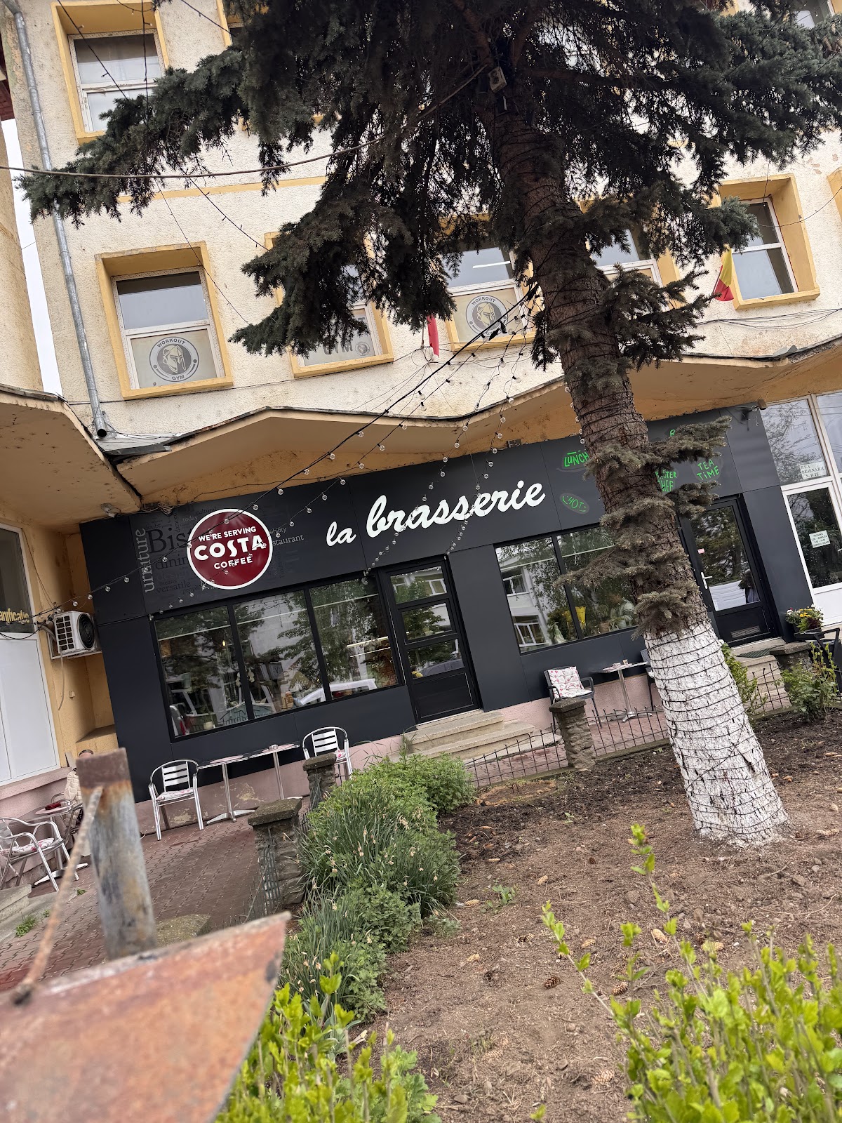 La Brasserie Siret - foto 5