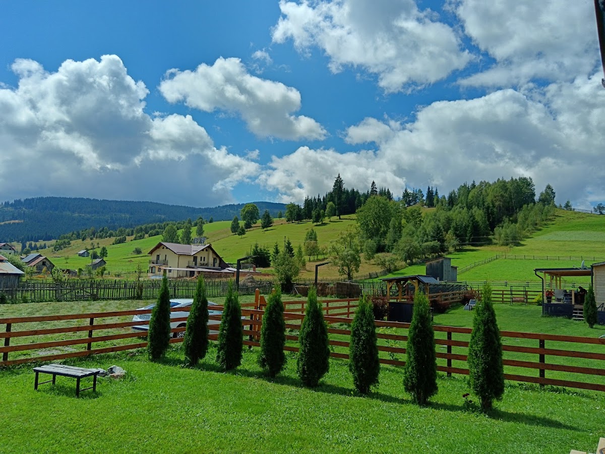 At The Little House in Ciocănești