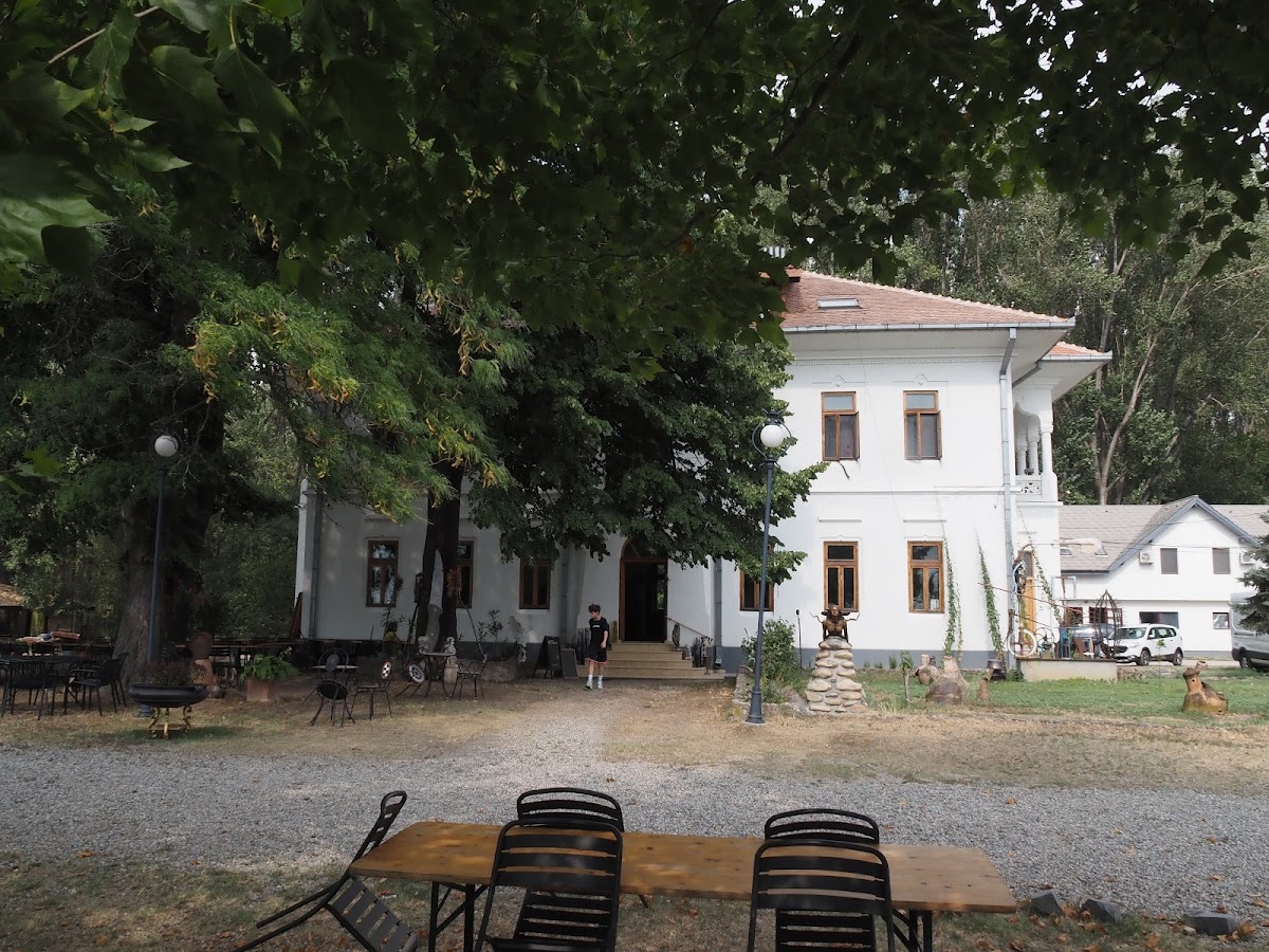 La Cetate, Mircea Dinescu - foto 4