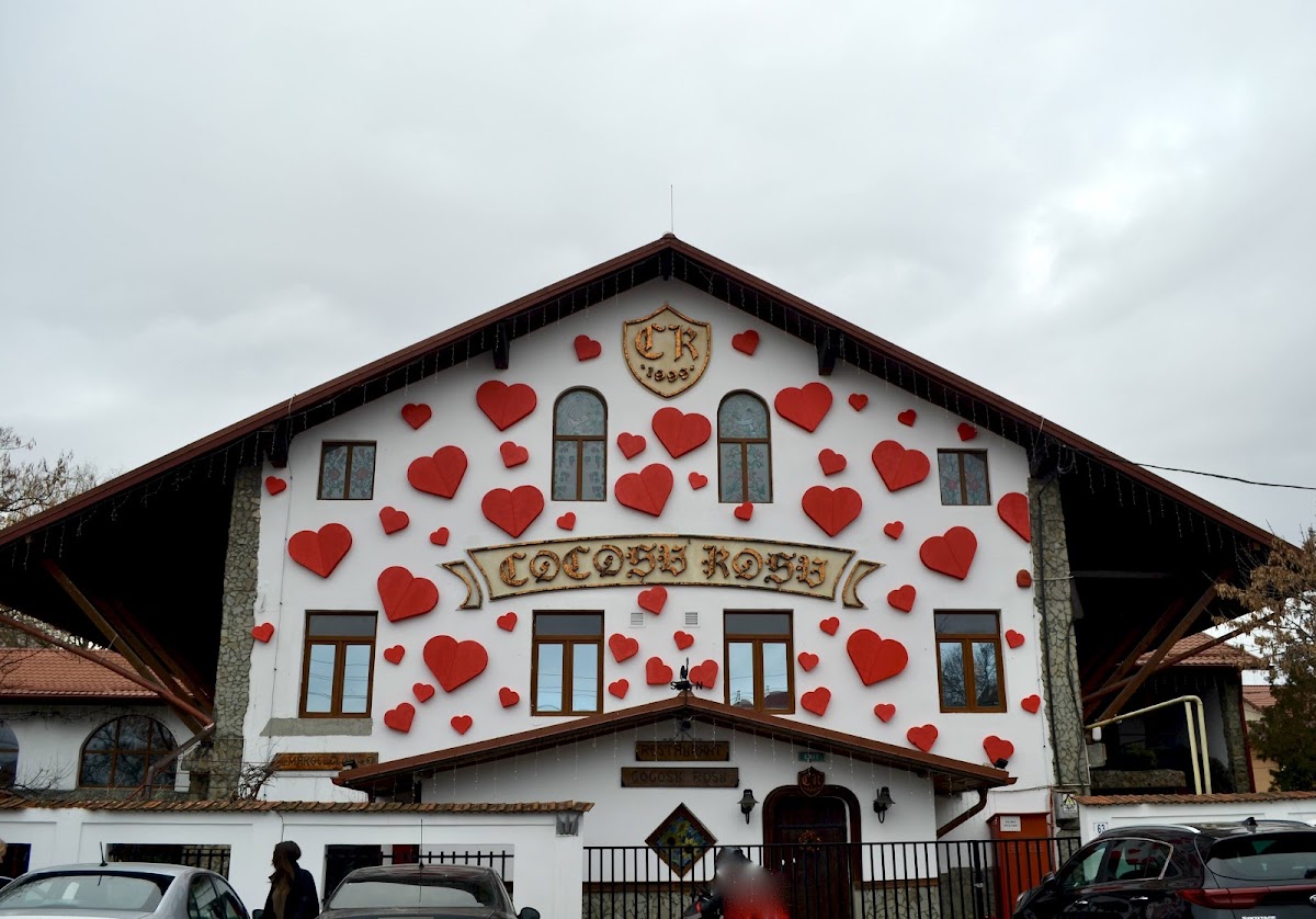 La Cocoșu' Roșu - foto 5