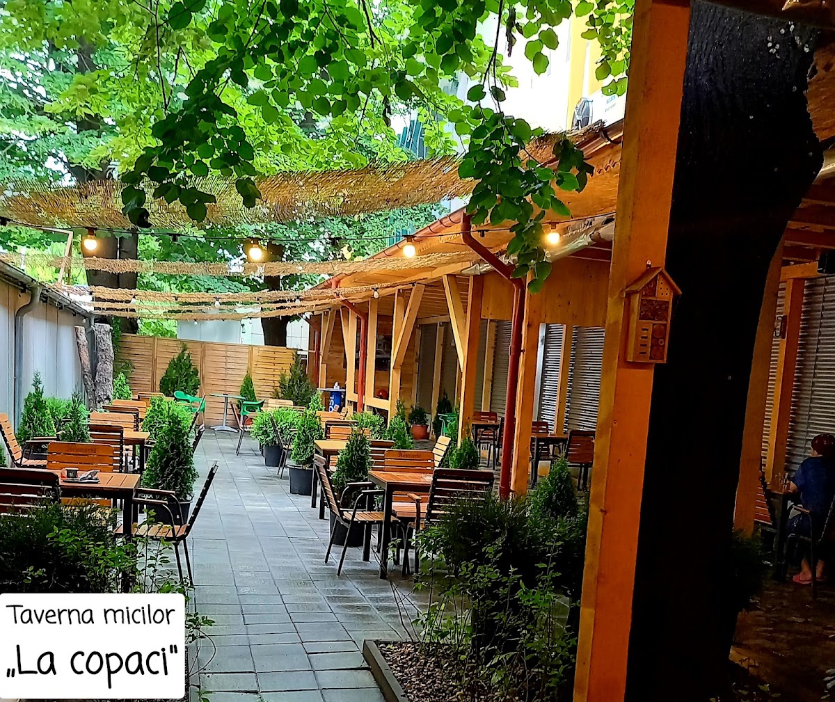La Copaci - foto 5