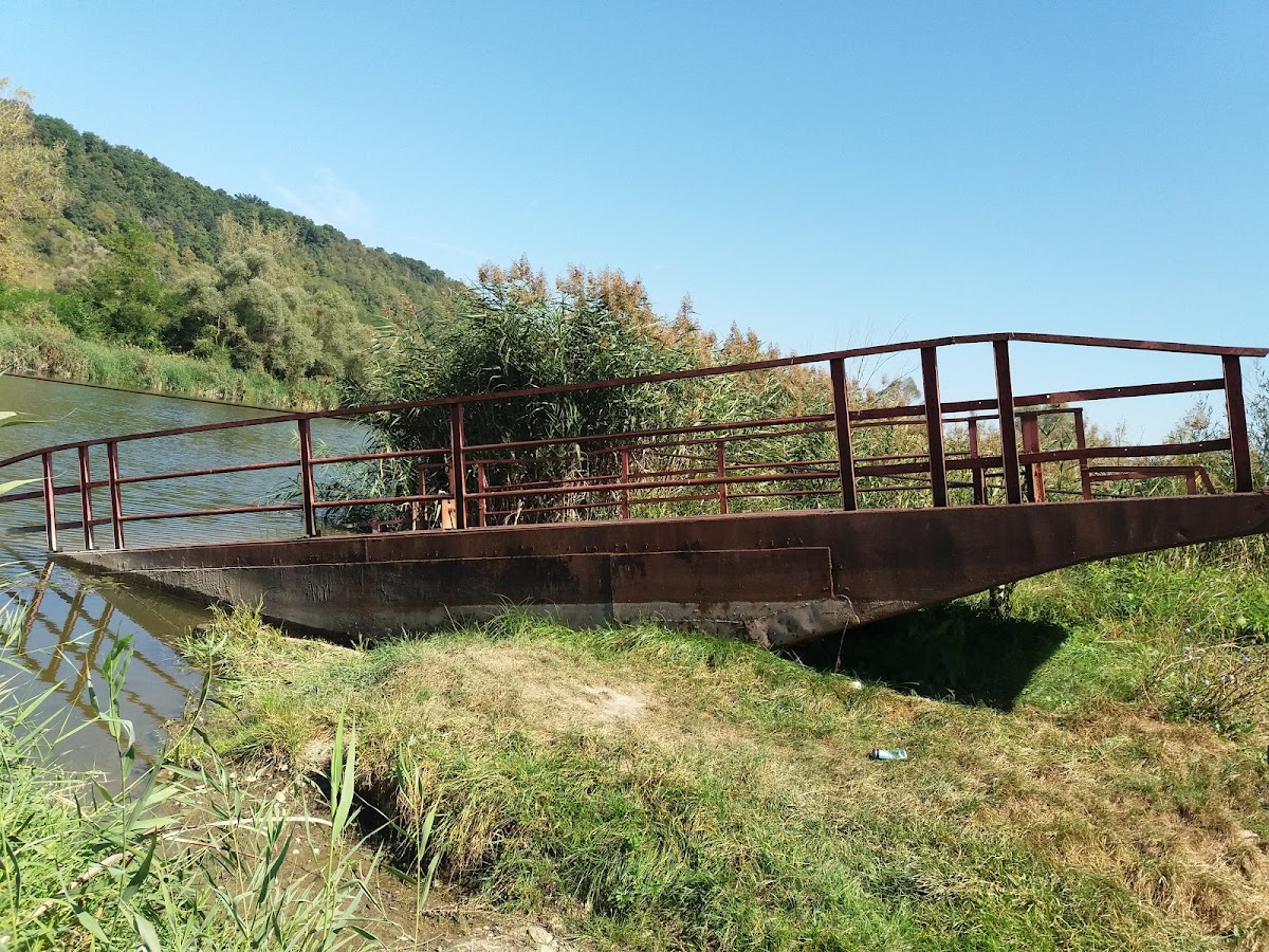 在"Corabie" - foto 3