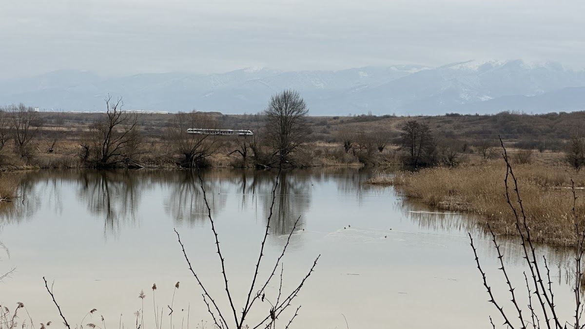 在"Corabie" - foto 4