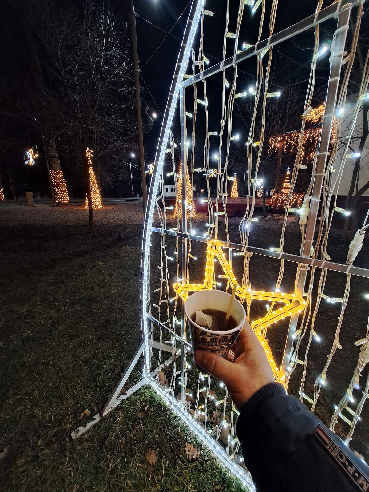 La Crâng de Crăciun - foto 4