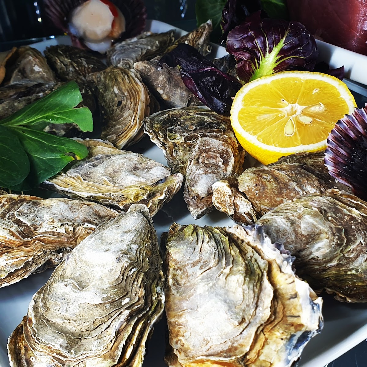 La Dolce Vita - foto 5