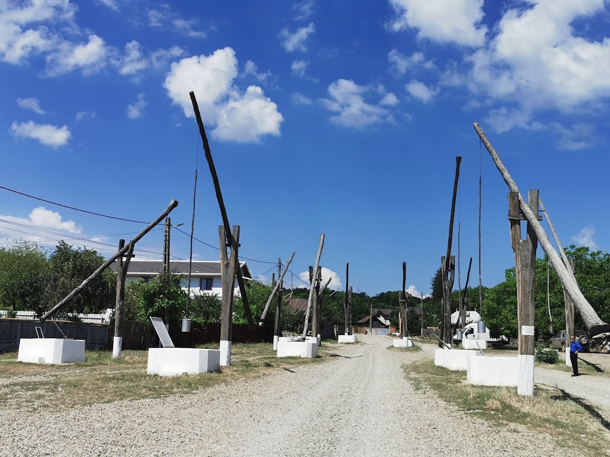 PRESSO LA FÂNTÂNI Păunești - foto 2