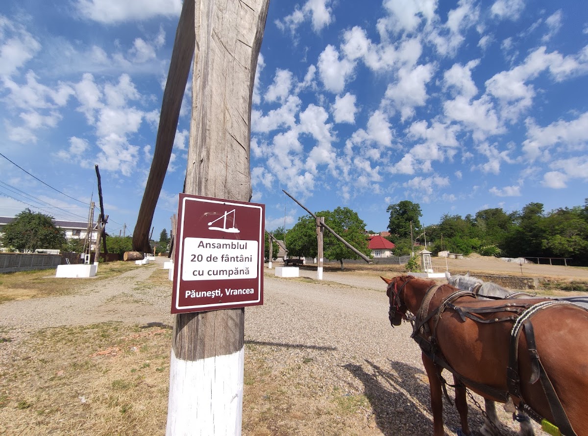PRESSO LA FÂNTÂNI Păunești - foto 3
