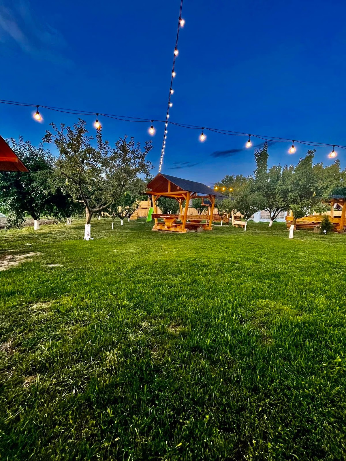 LA FOIȘOARE GRILL HOUSE - foto 2