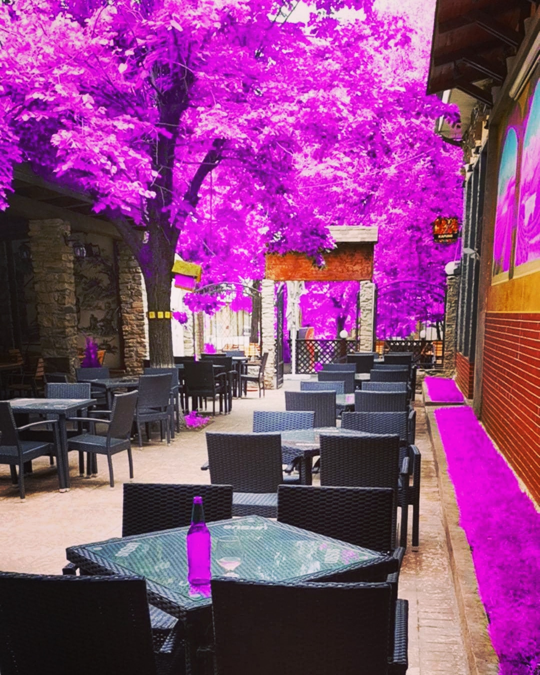 La Geamuri Mari - foto 4