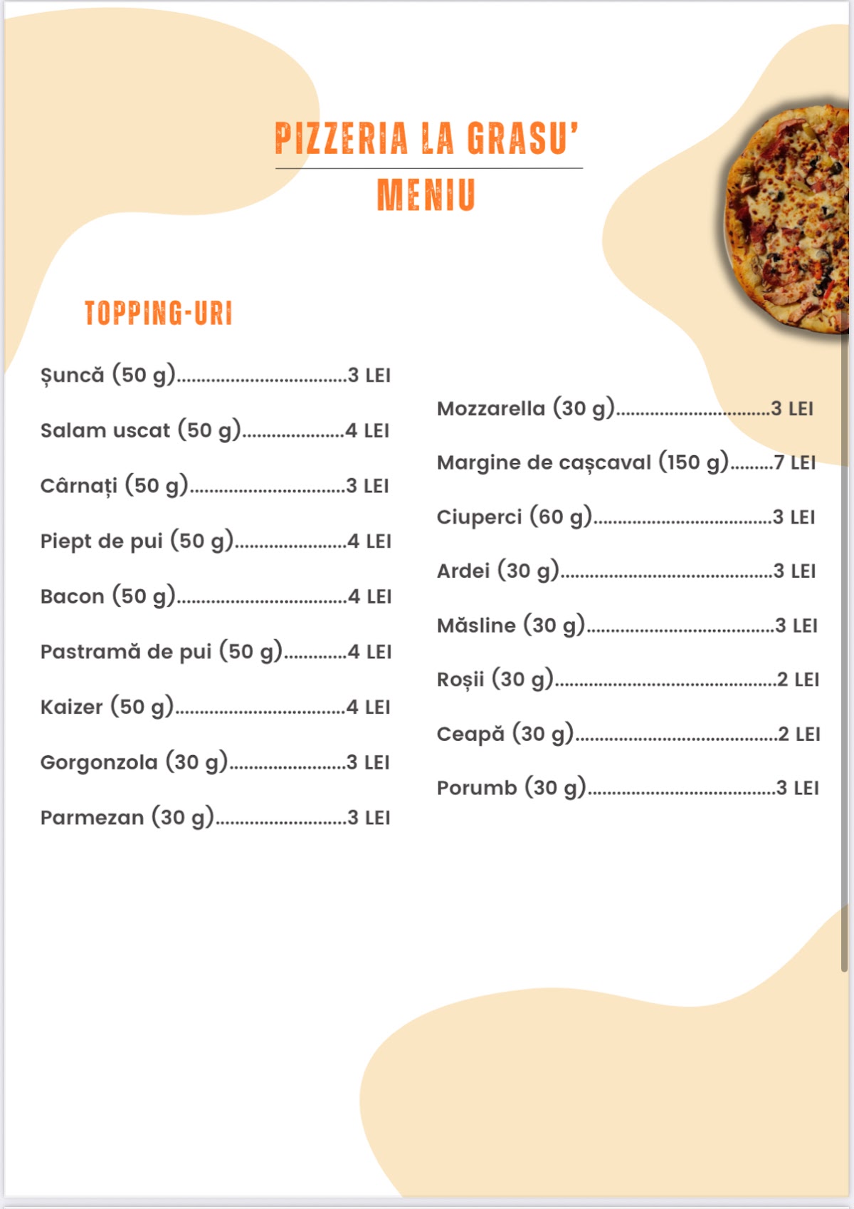 La Grasu Fieni - foto 2