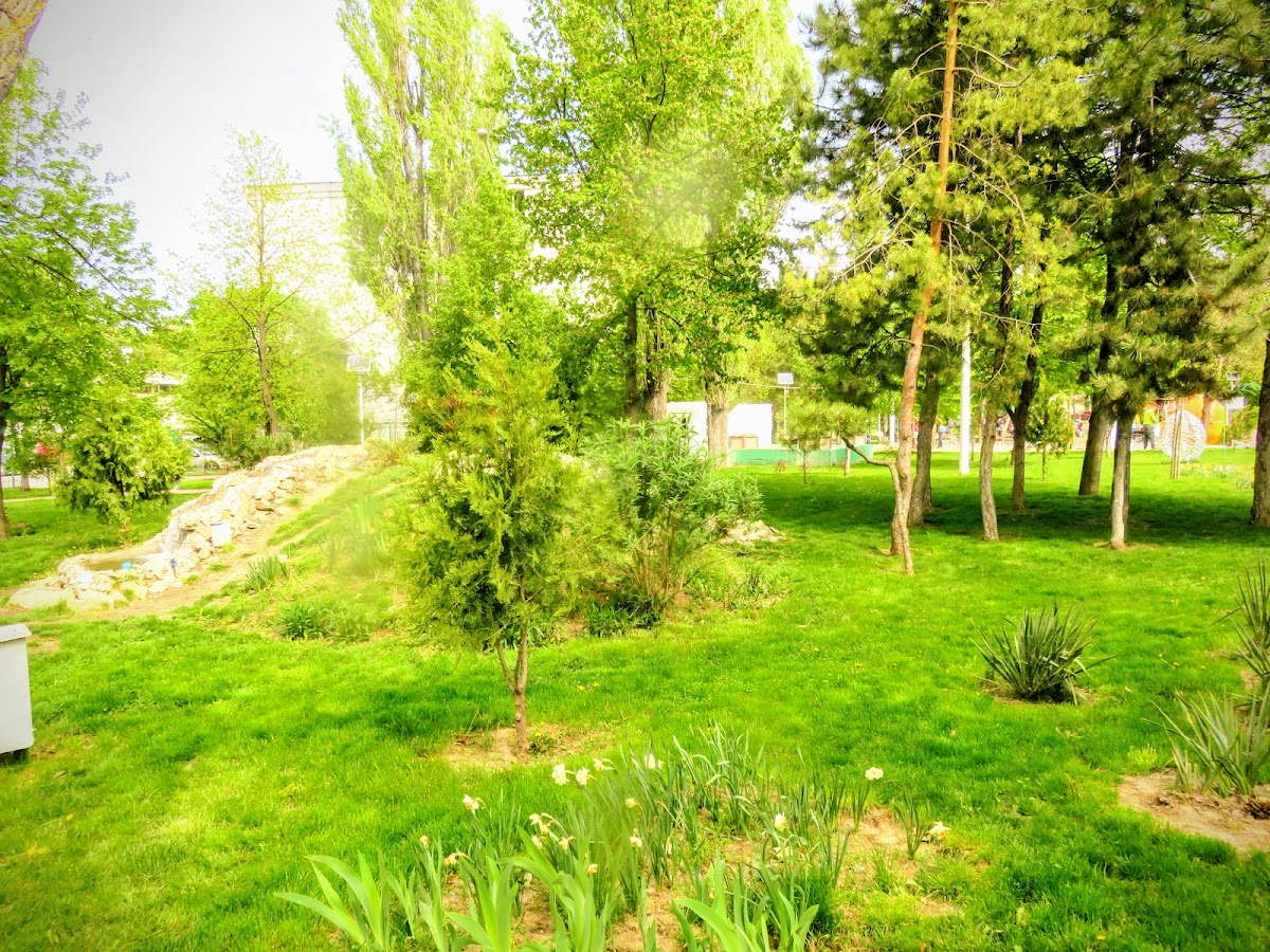 LA IZVOR