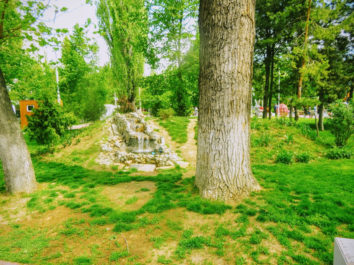 LA IZVOR - foto 2