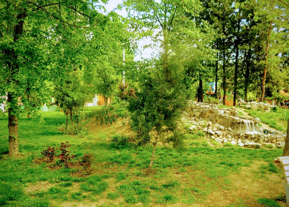 LA IZVOR - foto 4