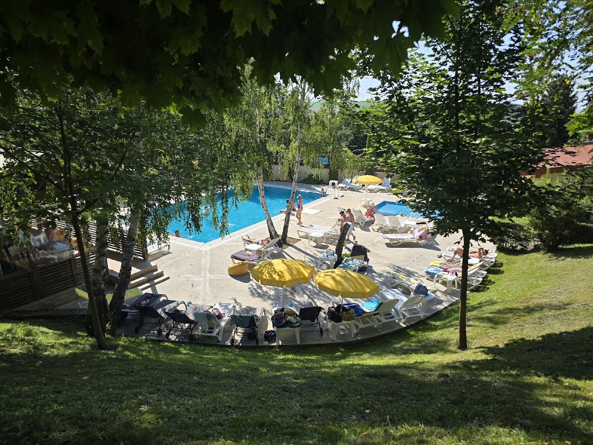La Mesteceni - foto 2