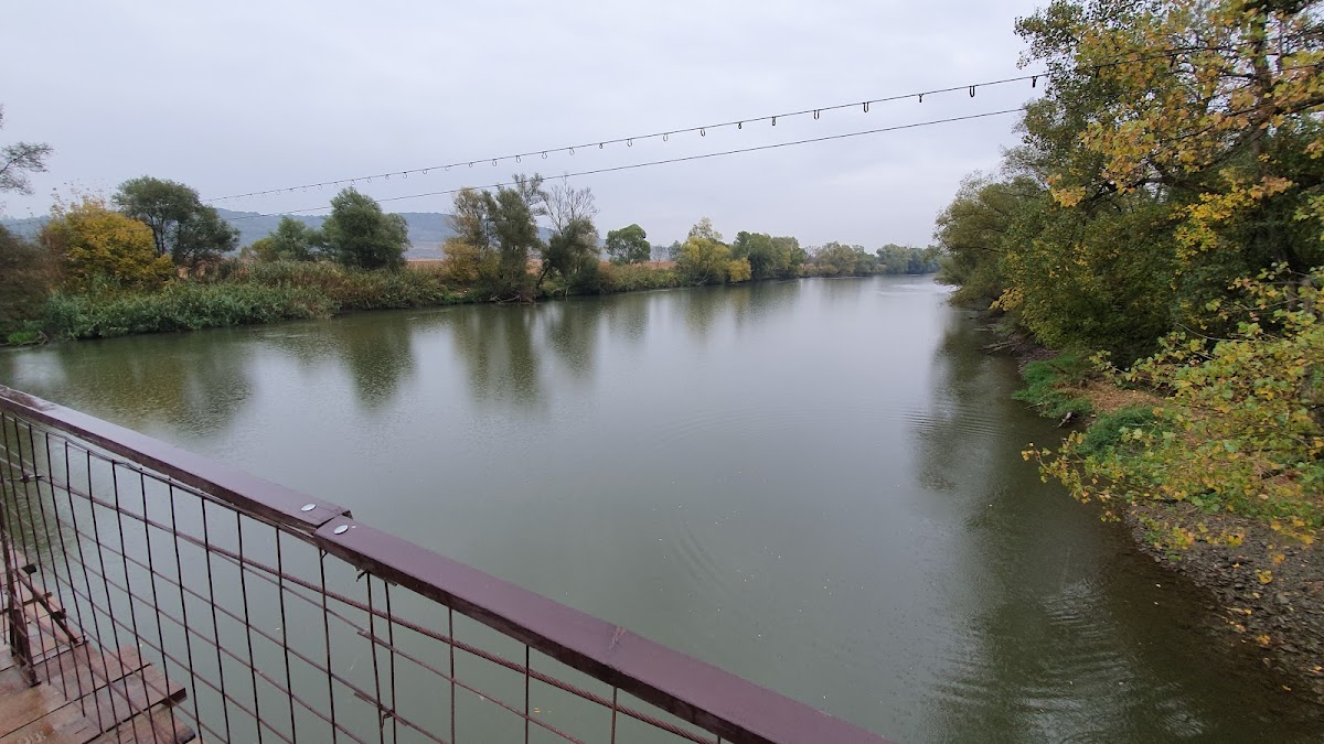 La Pasarelă - foto 2