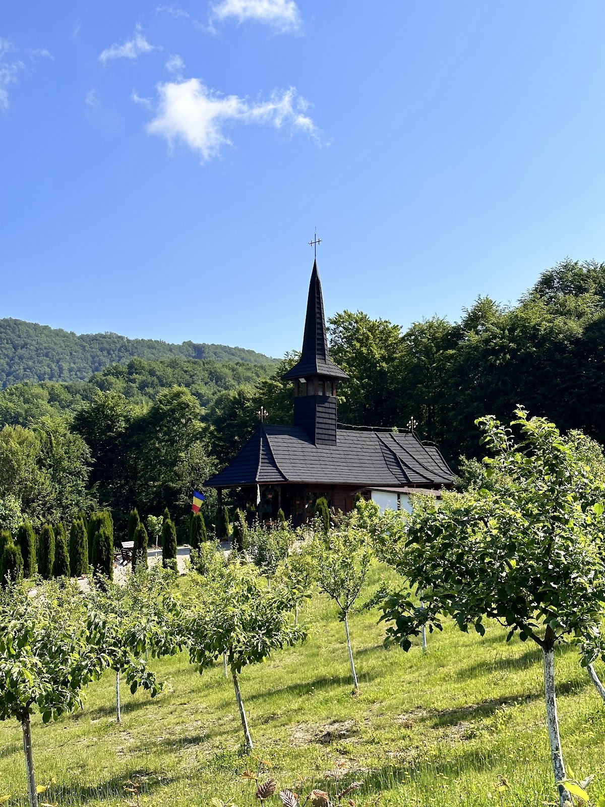 Au Popasul din Şes - foto 1