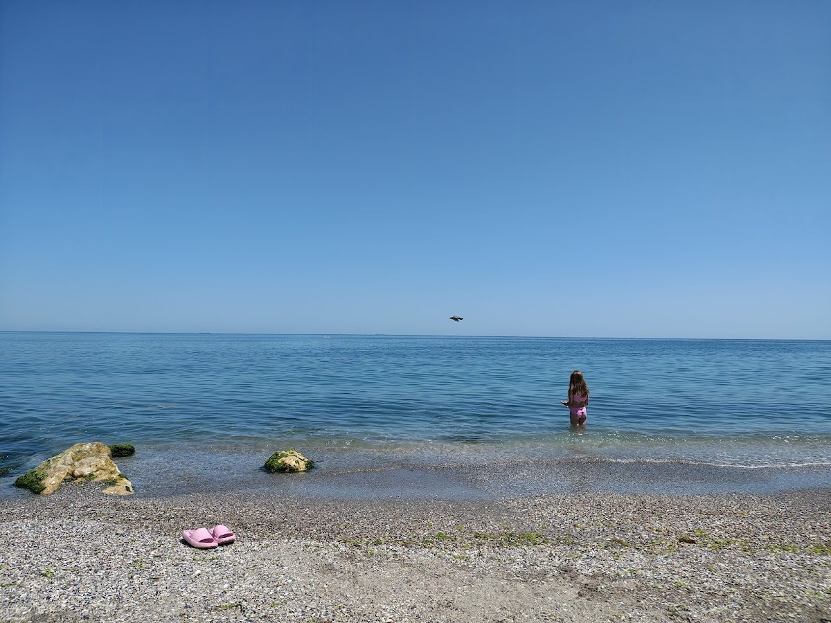 LA Scoici