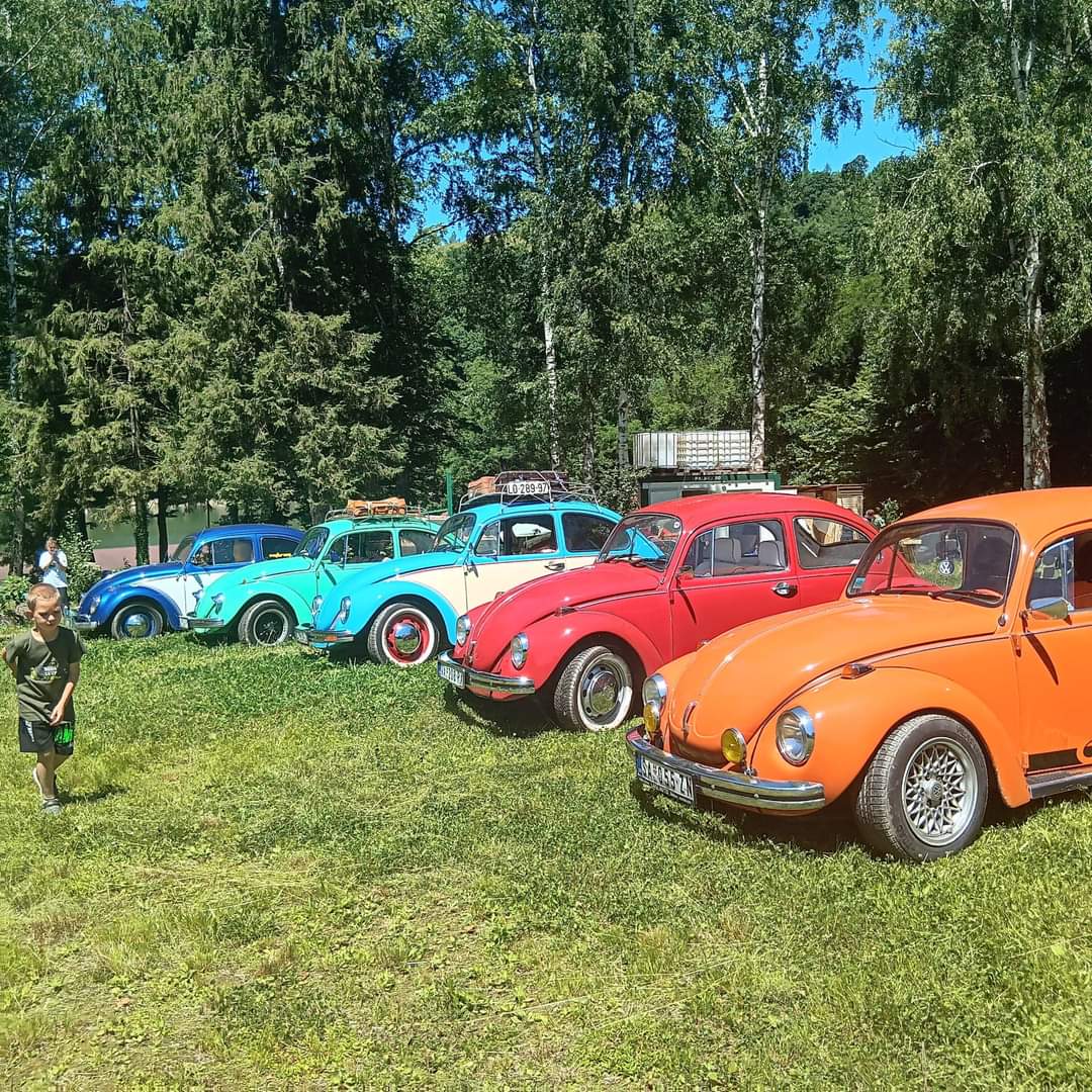La Șură - foto 5