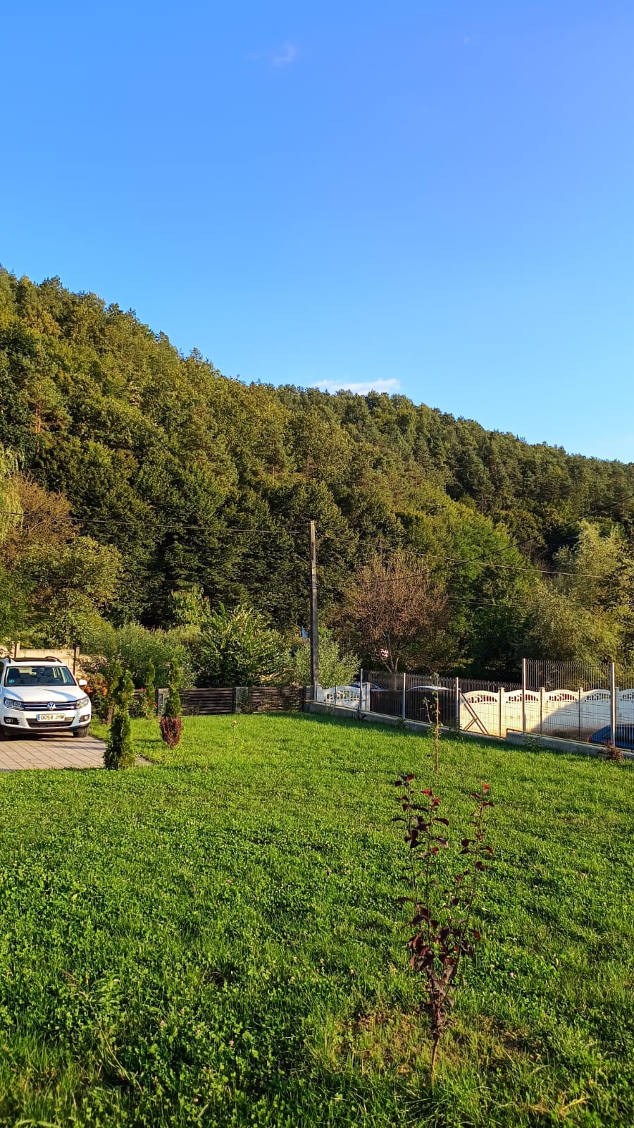 La Taica Iacob
