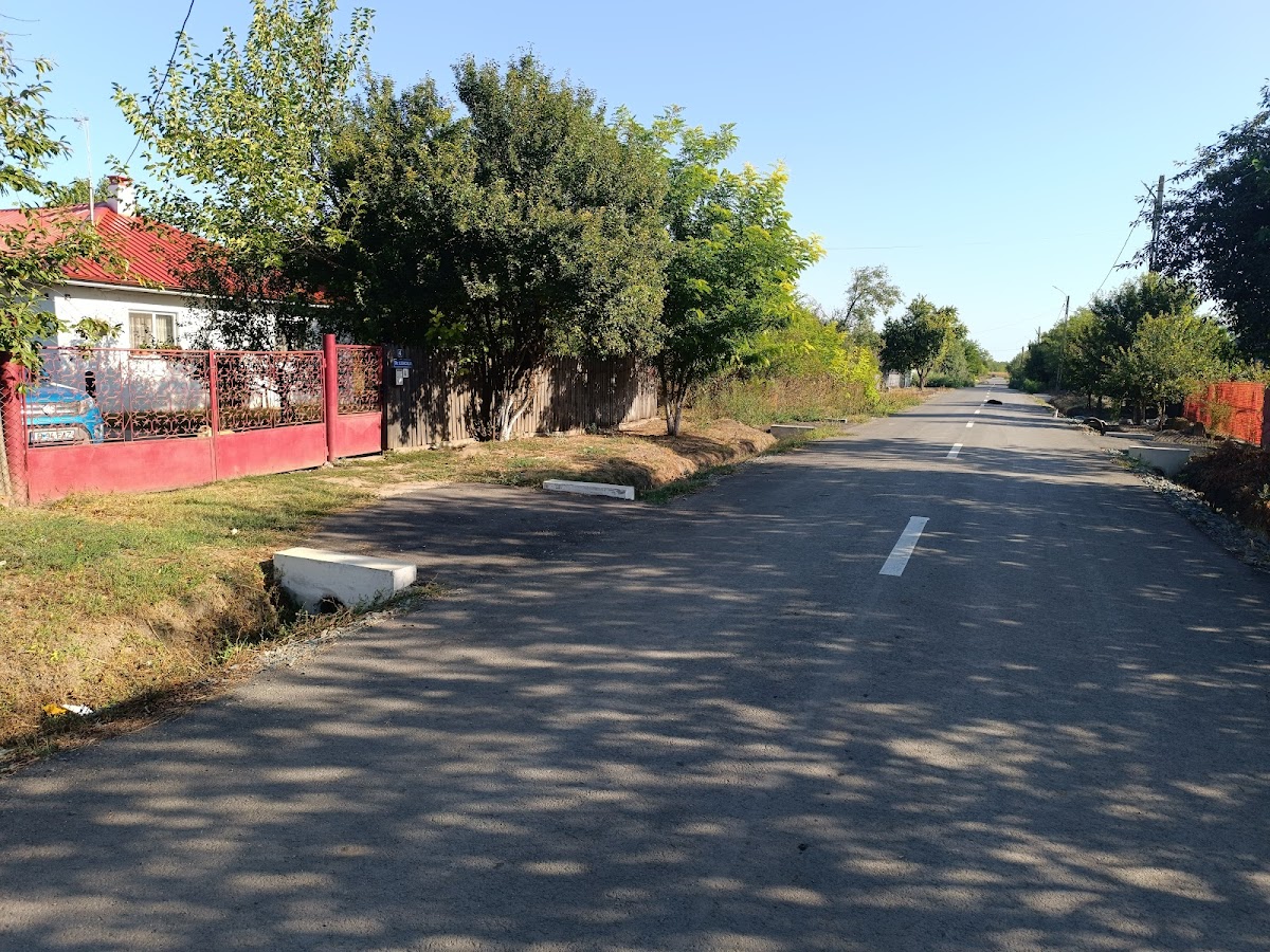 La tara - foto 4