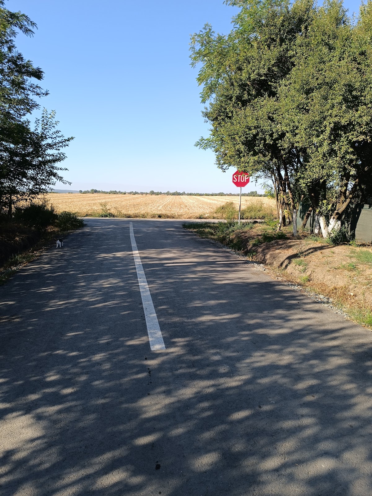 La tara - foto 5