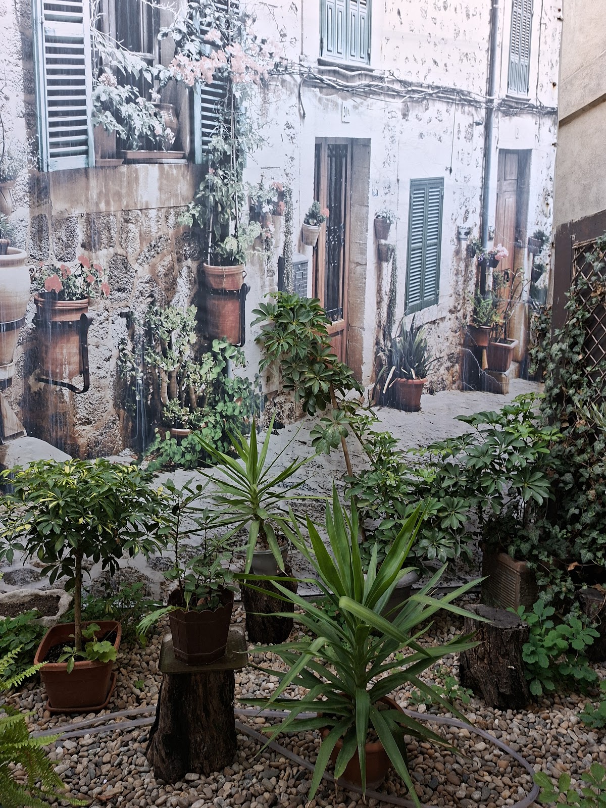 La Taverna casa Bucur - foto 3