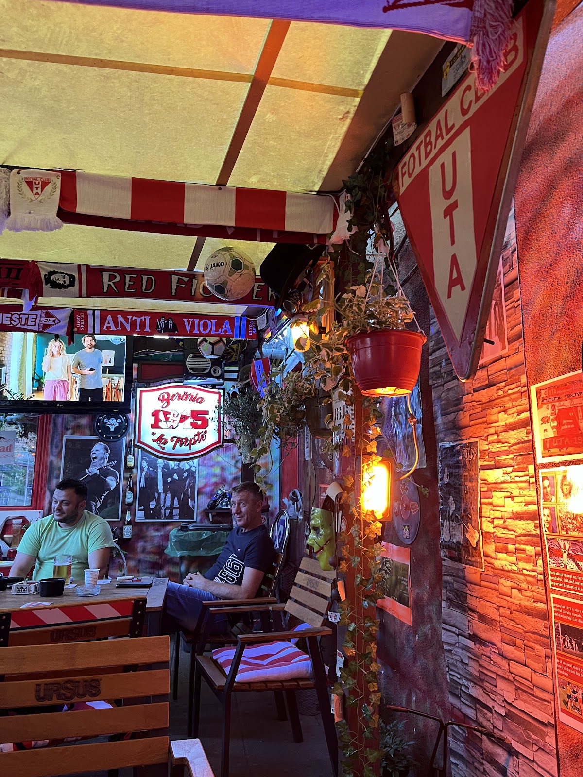 La Trepte 33, Arad