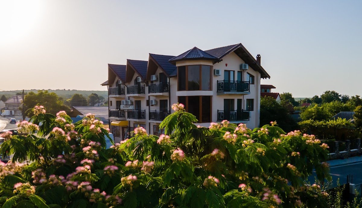 At La Vlădoi - foto 5