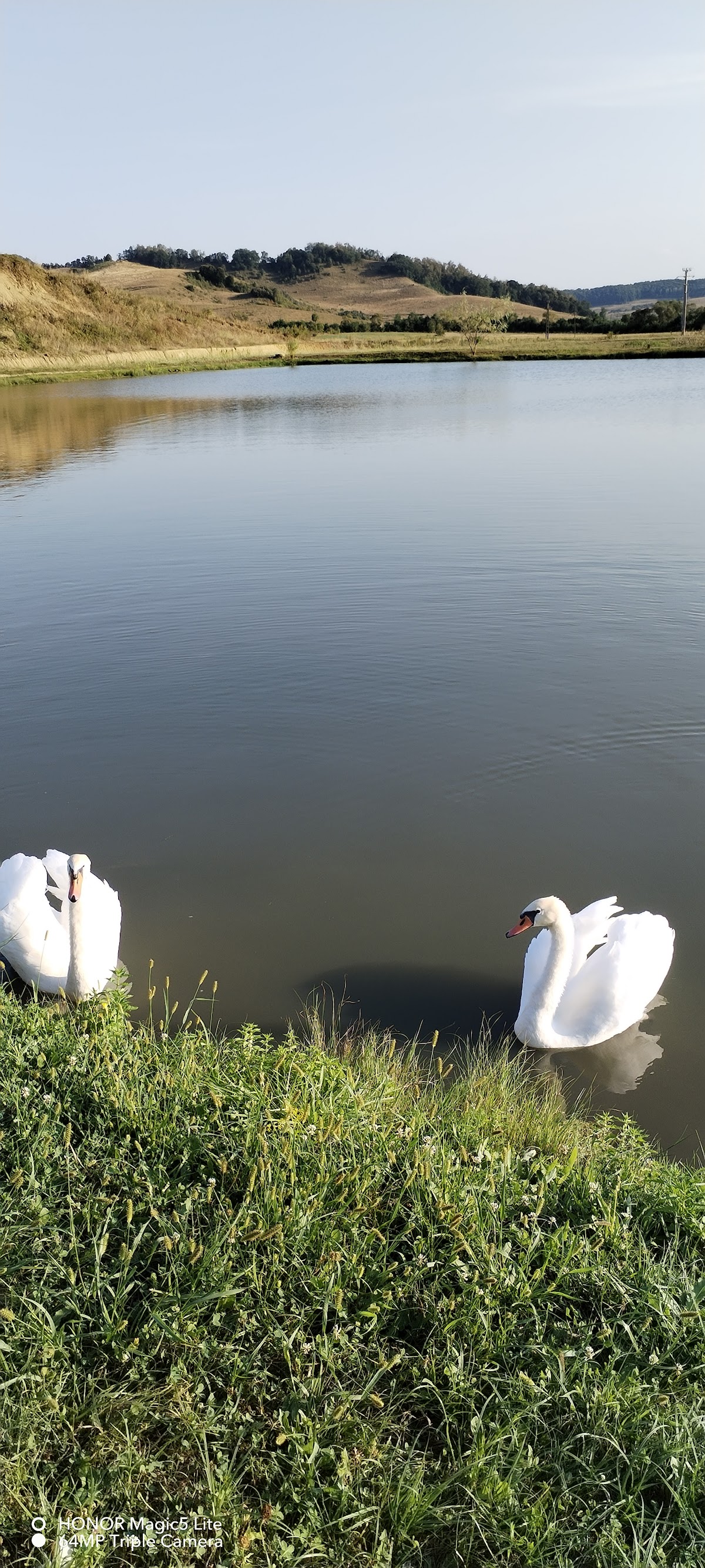 Lac Caprioara - foto 4