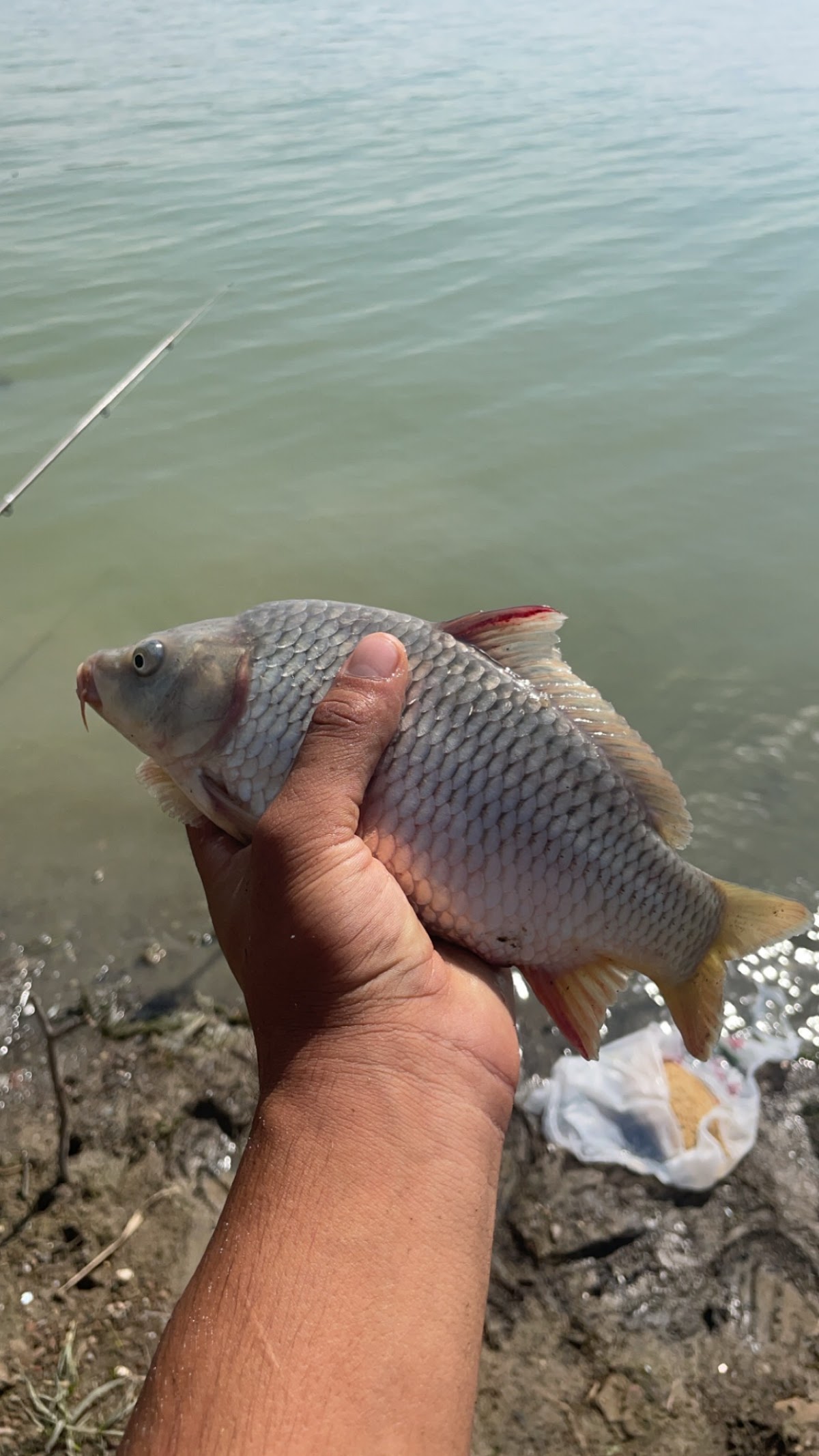 Lac Cazanesti