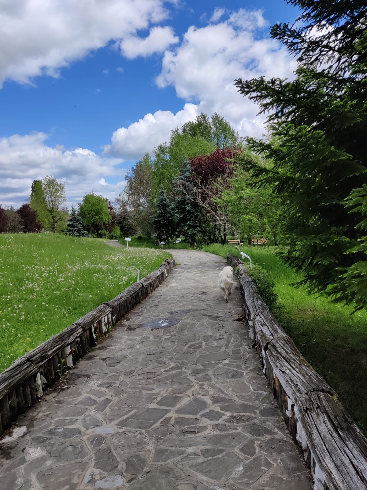 Lac de Verde - foto 5