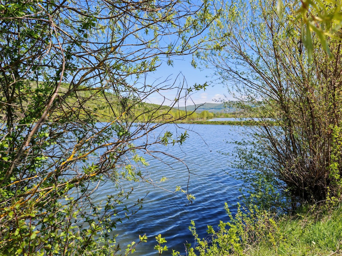 Lac Tonciu/Tacsi tó - foto 4