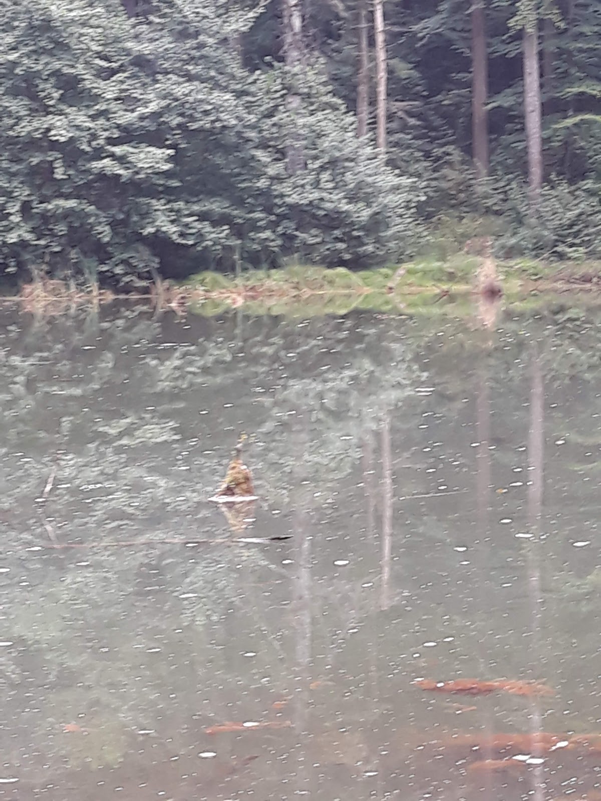Lac Veselaru - foto 4