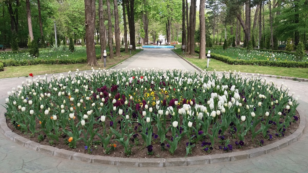 Lacu Sărat Resort
